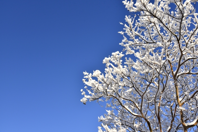 トレーラーハウスは雪に強い？寒冷地での積雪対策や寒さ対策について解説